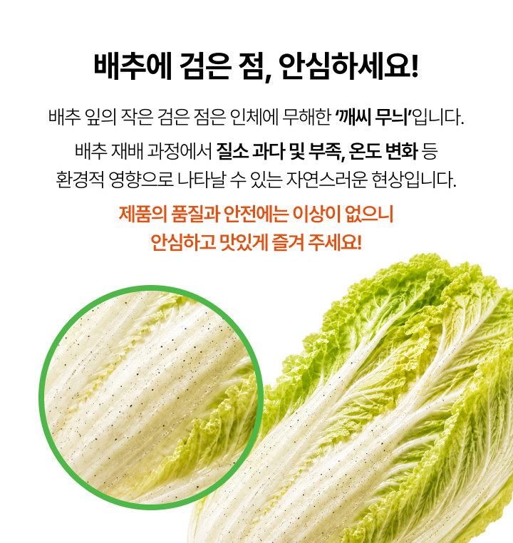 서울식 김치 필동가 CJ제일제당 포기김치 (주문 후 생산) 비비고 김치 8kg, 1개